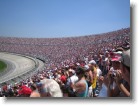 The crowd gets ready for the start of the race.