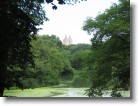 Towers peeking over the treeline in Central Park.