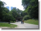 Looking down the path in Central Park.