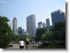 Looking back towards the city in Central Park.
