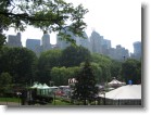 Looking above Trump's amusement park in Central Park.