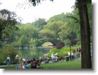 A bridge over the water in Central Park, and the faint image of dual towers above the tree line in the distance.