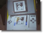 A video of the Nintendo DS on the projection screen in Nintendo World.