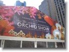 The 25th Annual Orchid Show in Rockefeller Center.