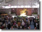 The inside of the Orchid Show.  :-)