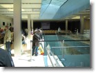 A view of the iPod area of the Apple Store.