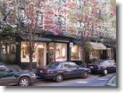 Blooming trees in the SoHo area.