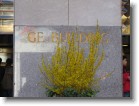 The GE Building.